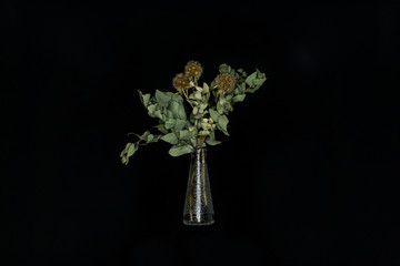 eucalyptus bouquet in glass vase on black background