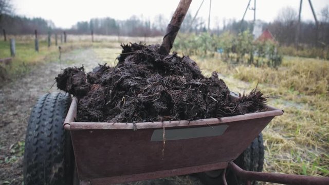 First-person view of a garden cart with a pile of organic fertilizer being transported on farmland in late autumn. Manure to increase soil productivity. Production of natural products