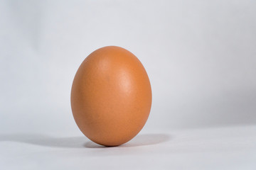 Close up view of brown chicken egg standing vertically isolated on white background.