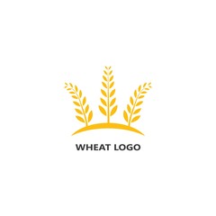 Fototapeta na wymiar Agriculture wheat Logo Template vector icon