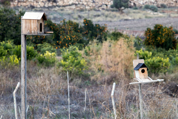 The bird house in the garden.