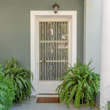 House Entrance Metal And Glass Door On Olive Green Wall And Flower Pots