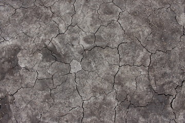 A photograph from above of cracked and dry soil/earth making patterns.  A drought or dry weather concept. 