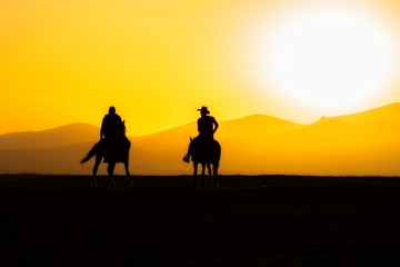 Fototapeta na wymiar Images of wild horses at sunset. (Yılkı Atları). Hürmetçi, Kayseri, Turkey.