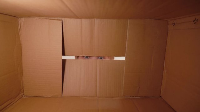 Closeup view 4k video footage of brown carton delivery box and two curious eyes of white kid looking inside of package, then boy opens parcel and finds cute small guinea pig inside of packaging.