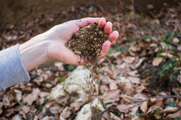 Woman, female hand sifting and pouring dirt