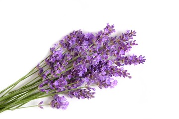 Obraz premium Bunch of lavender.