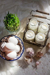 Fototapeta na wymiar Eco farm products. Fresh eggs, milk and garlic