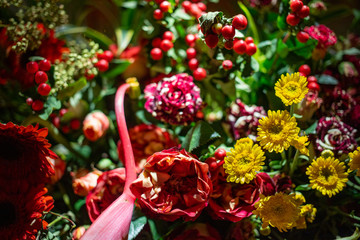 Dark night flowers background in flower exhibiton