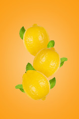 Lemons with mint leaves on orange background.