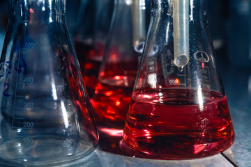 Test flasks with red liquid in laboratory