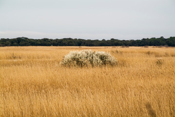 Po Delta Interregional Park, Emilia Romagna