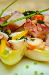 Italian food, marinated octopus with vegetables