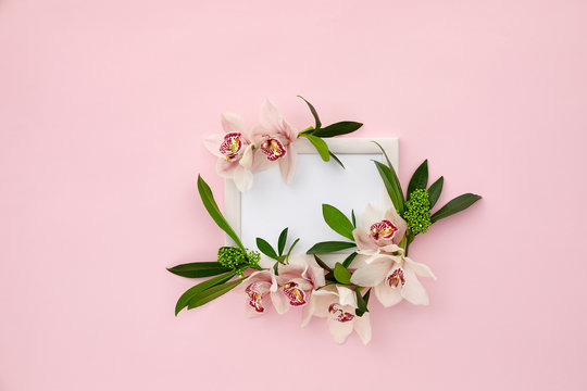 photo frame decorated with green leaves and orchid flowers on pink pastel background. empty space for text. mock up with copy space. Flat lay