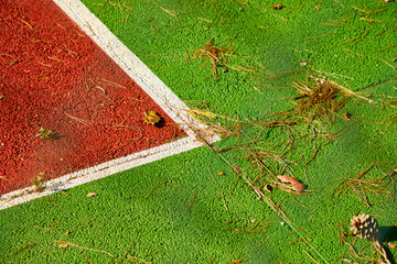 abandoned tennis court