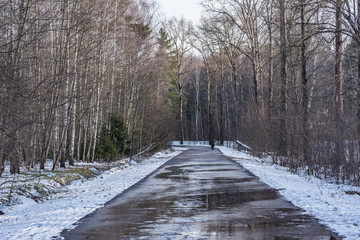Wet road by the forest at early spring day time.