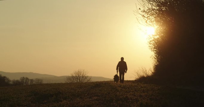 Man walking his dog in Sunset