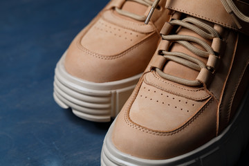 Brown women's leather shoes on a gray background. Fashion trend