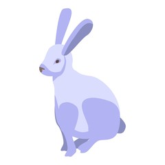 Zoo white rabbit icon. Isometric of zoo white rabbit vector icon for web design isolated on white background