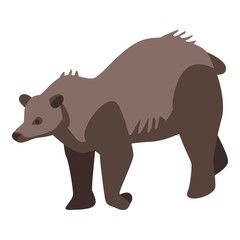 Obraz na płótnie Canvas Zoo brown bear icon. Isometric of zoo brown bear vector icon for web design isolated on white background