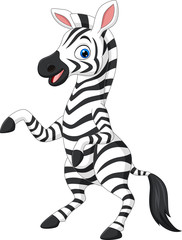 Plakat Cartoon funny zebra on white background