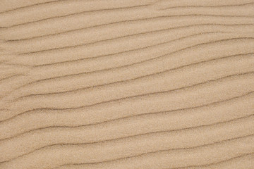 texture of sand