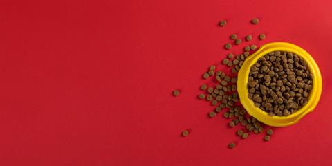 Yellow bowl with cat food on a red background. The concept of healthy eating for a pet. Copy space.