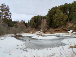 spring landscape by a melting pond after a winter sleep against the background of a beautiful...