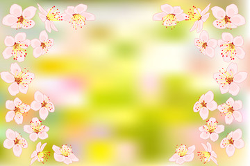 Background with cherry or pink sakura blossoms flowers on blurred green backdrop. Floral spring time season design with place for copy space. For banner, poster, flyer, greeting card stock vector