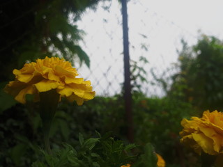 Processed with VSCO with  preset