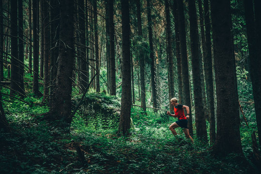Trail runner in green forest, sport photo