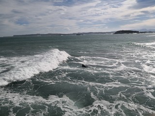 Santander, San Sébastien, Surf 2020