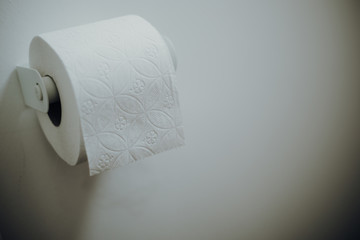 Woman grabbing toilet paper