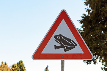 Krötenwanderung