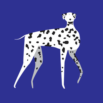 A scandinavian dog dolmatinsky for children, a cute vector stock illustration with doodle pet on a blue background