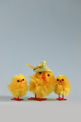 Ostern, flauschige Küken und Hühner, 
