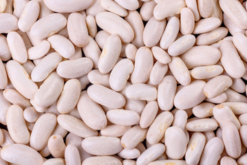 Beautiful multicolored beans close-up on a concrete background