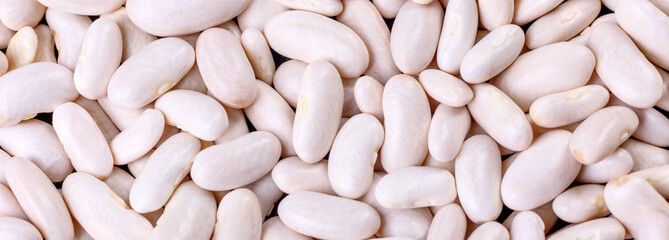 Beautiful multicolored beans close-up on a concrete background