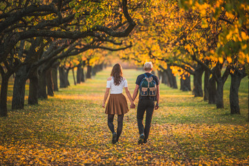 Couple walking together in autumn alley. Photo full of love with copy/edit space.