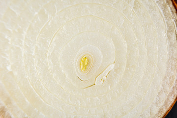 Fototapeta na wymiar Texture detail of an onion cut in half, macro photography