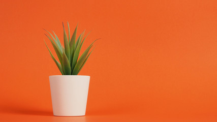 Artificial cactus plants or plastic or fake tree on orange background.