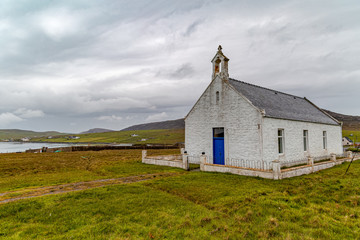 Fototapeta premium Shetland