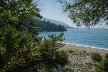 Fototapeta na wymiar Wild beach, forest and sea