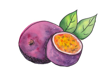 Watercolor painting with colorful tropical passion fruit isolated on white background. Sketch illustration for fruits smoothie, juice, food hall decoration, cards. Vibrant bright food design element.