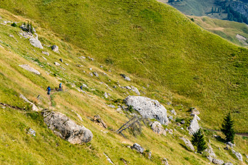 Mountainbiken in den Alpen über einen schmalen Pfad einer Almwiese