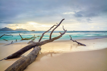 Einsamer Sandstrand auf den Seychellen mit Treibgut