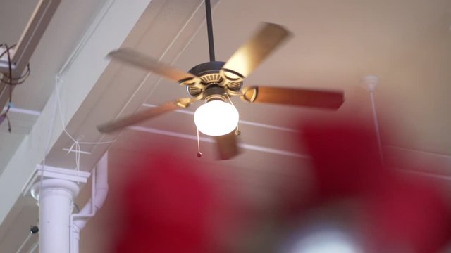 Ceiling fan spinning in a coffee shop library. Shot through red flowers roses perched on a table. Slow motion stock video, beautiful blurred foreground