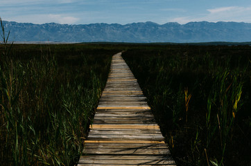 Fototapeta premium Wooden walkway to the beach. Croatia