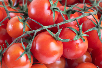 Heap of sprigs of ripe cherry tomatoes close up. Food background