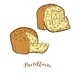 Colored drawing of Panettone bread
